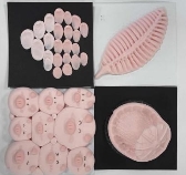 第1题_冬@微信_20250524_7697482050923_1